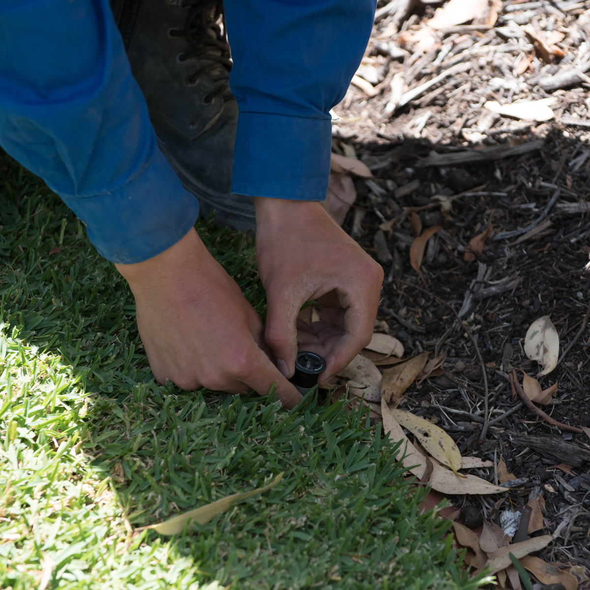 Irrigation and Lawn rejuvenation Adelaide Hills